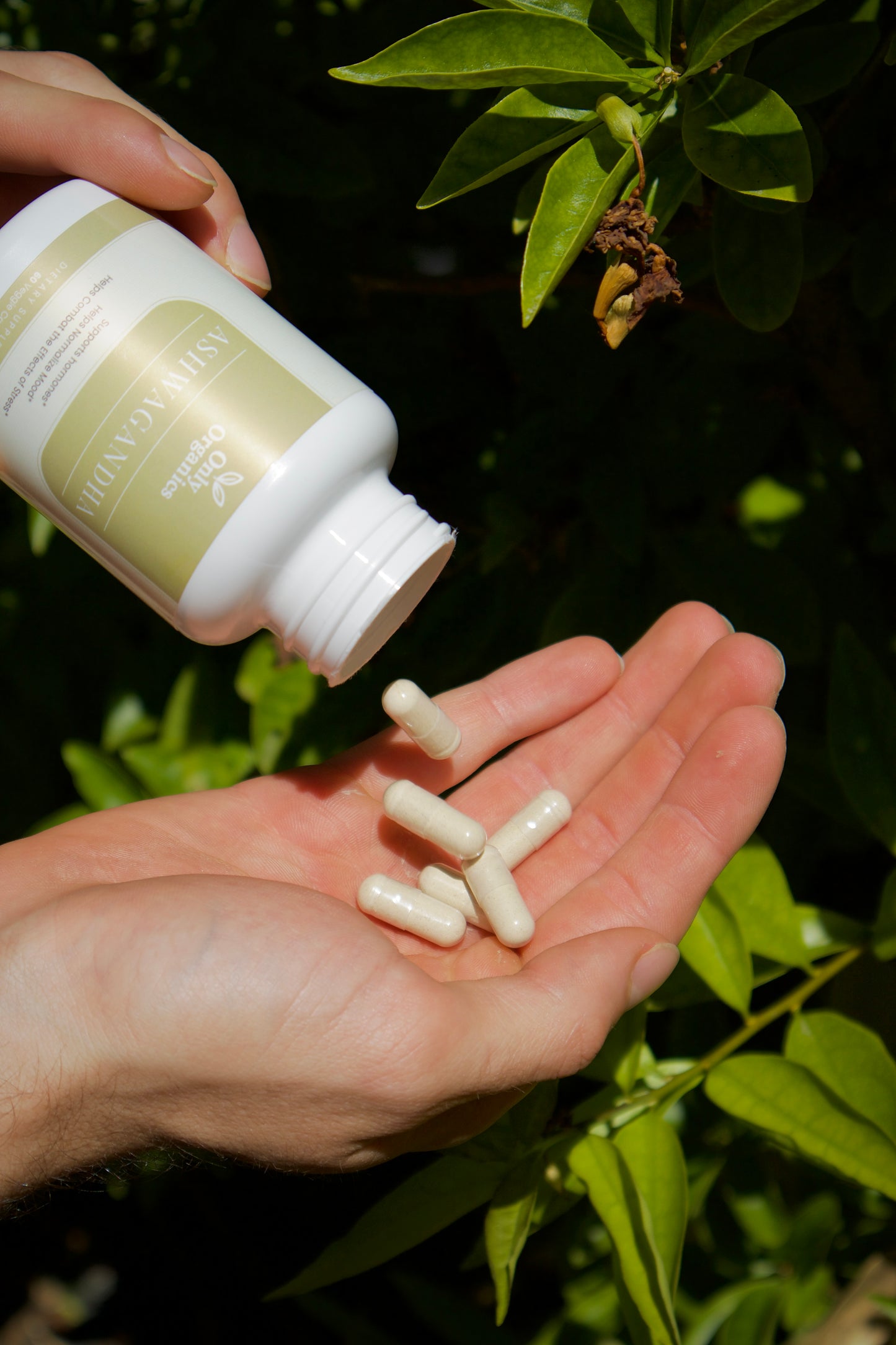 Only Organics™ Premium Wellness Bundle