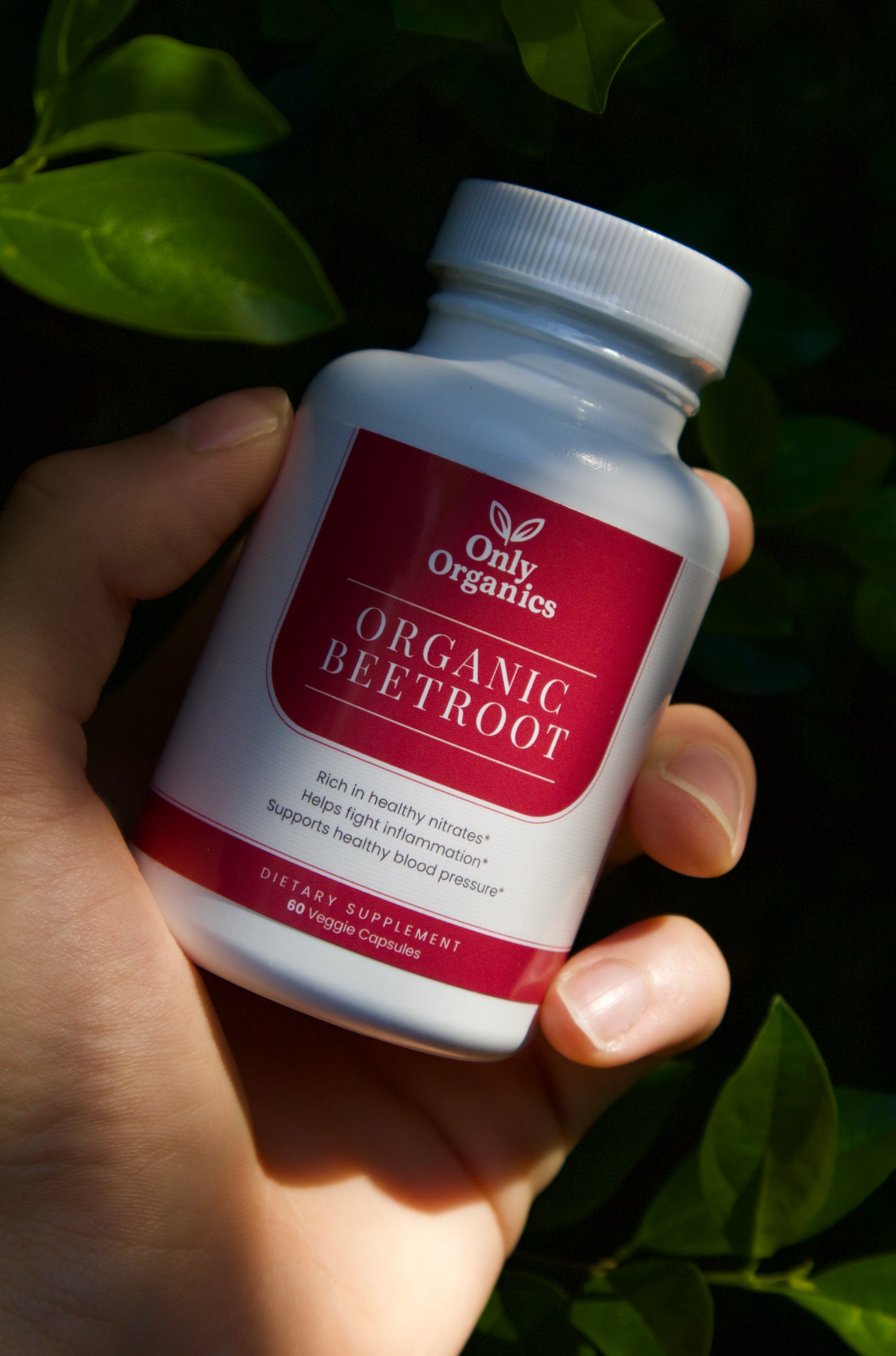 Only Organics™ Premium Wellness Bundle