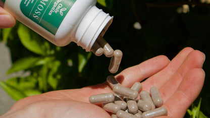 Only Organics™ Premium Wellness Bundle